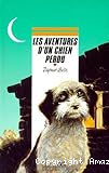 les aventures d'un chien perdu