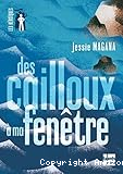 des cailloux à ma fenêtre