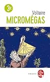 Micromégas