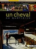 Un cheval au quotidien