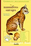 Les Mammifères sauvages : carnivores - insectivores - lagomorphes