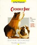 Cochon d'Inde