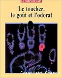 Le Toucher, le goût et l'odorat