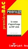 Le Roman d'apprentissage au XIXème siècle